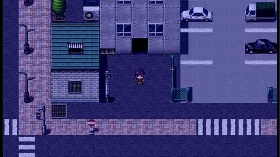 The Town — screenshot 1