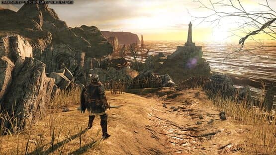 Dark Souls Trilogy — screenshot 2