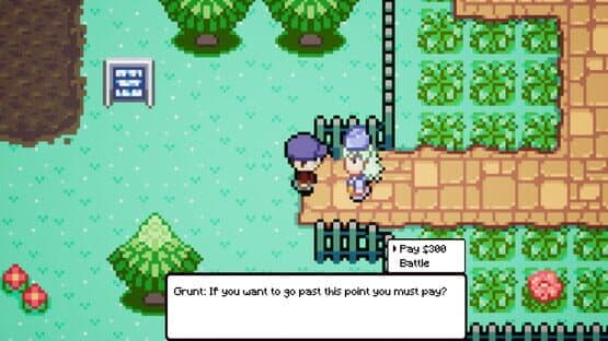 Legend of the Wizard King — screenshot 5