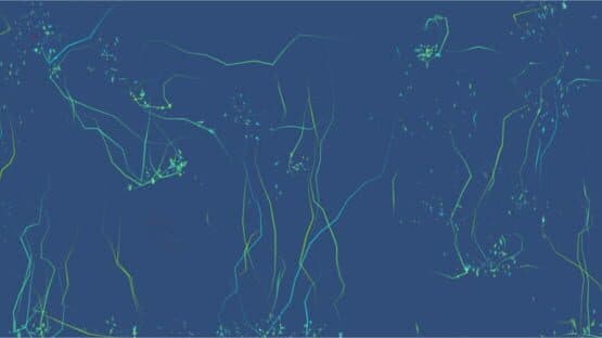 Data — screenshot 3