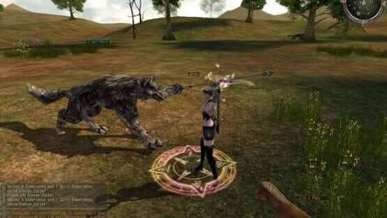 Last Chaos — screenshot 2