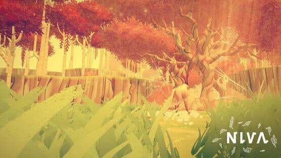 Niva — screenshot 5
