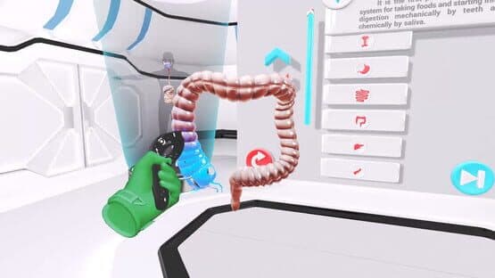 VRLab Academy: Anatomy VR — screenshot 4