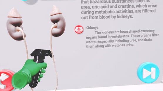 VRLab Academy: Anatomy VR — screenshot 5