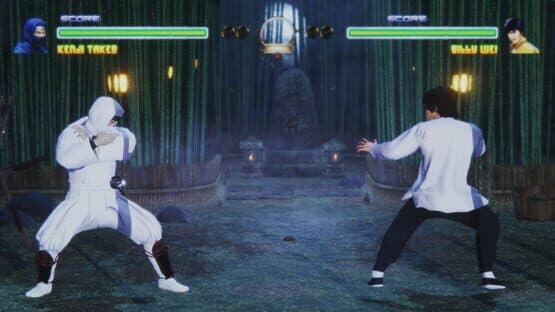 Fighters Legacy — screenshot 2