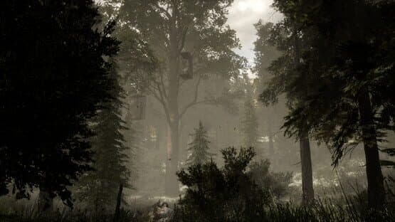 The Woods: VR Escape the Room — screenshot 1