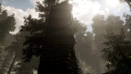 The Woods: VR Escape the Room — screenshot 5