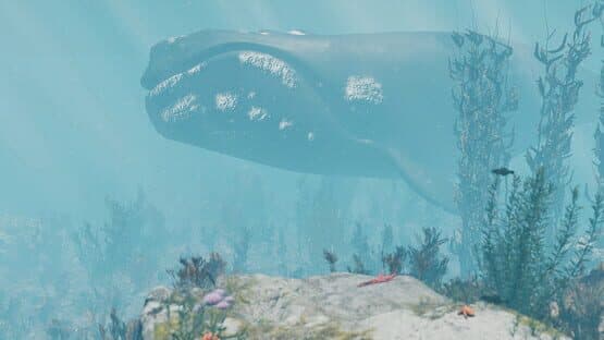 WellTown — screenshot 2