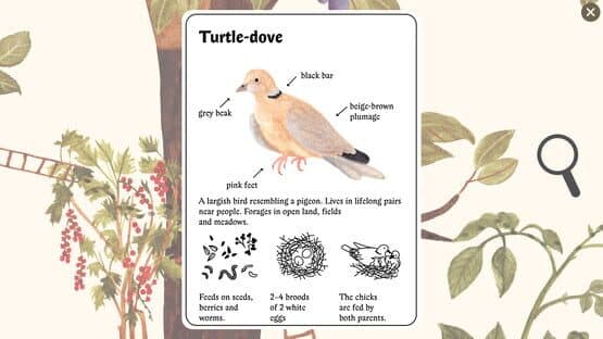 Little Mouse's Encyclopedia — screenshot 4