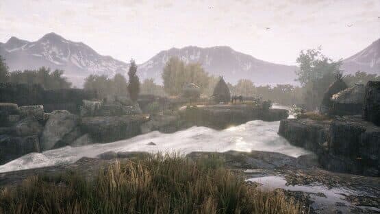 The Dead Tree of Ranchiuna — screenshot 2