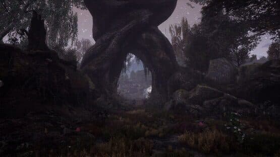 The Dead Tree of Ranchiuna — screenshot 3
