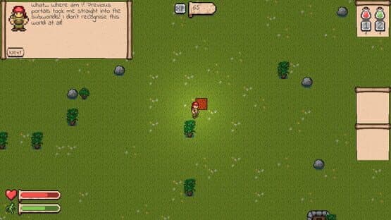 Cavyrn — screenshot 6