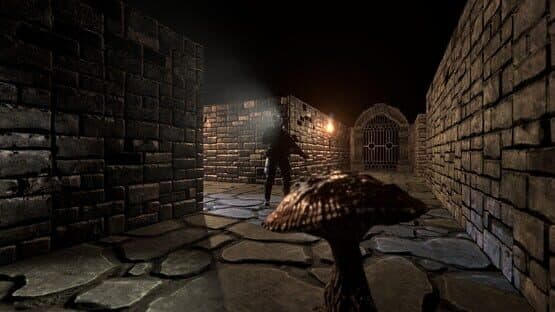 The Dungeon Paradox — screenshot 7