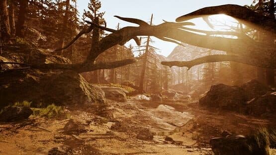 Tobit — screenshot 1