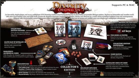 Divinity: Original Sin - Collector's Edition — screenshot 1