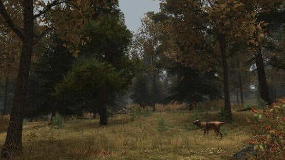 Walden, a game — screenshot 8