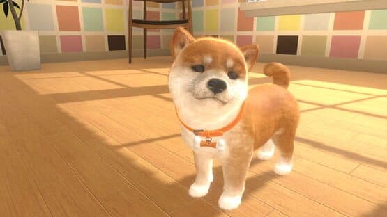 Little Friends: Dogs & Cats — screenshot 3