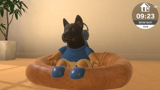 Little Friends: Dogs & Cats — screenshot 4