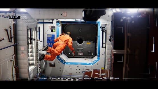 Observation — screenshot 2