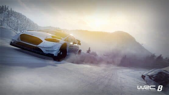 WRC 8 — screenshot 6