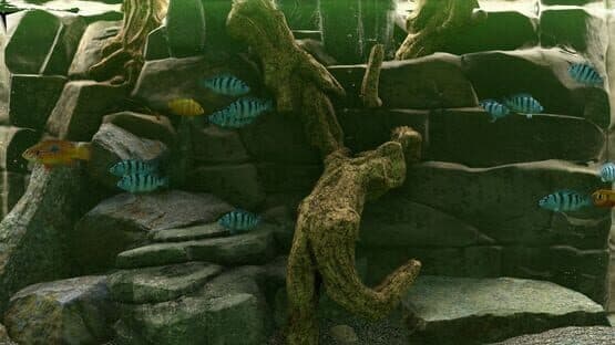 Biotope: Aquarium Simulator — screenshot 3