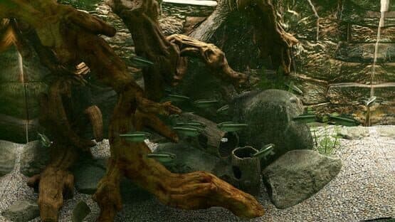 Biotope: Aquarium Simulator — screenshot 4