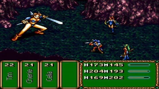 Brave Battle Saga: Legend of the Magic Warrior — screenshot 4
