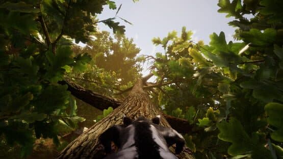 Away: The Survival Series — screenshot 5