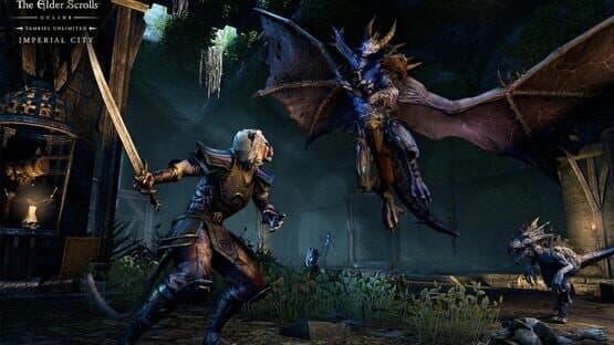 The Elder Scrolls Online: Imperial City — screenshot 2