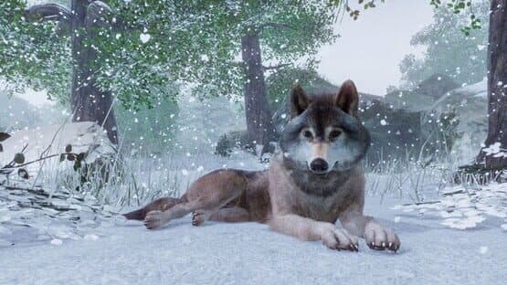 Planet Zoo — screenshot 2