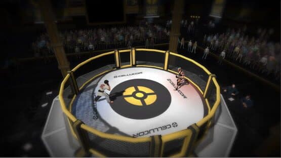 MMA Arena — screenshot 7