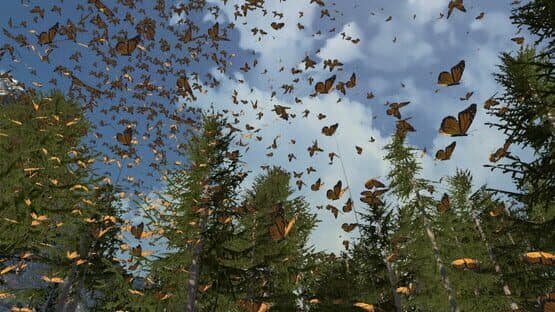 Dances with Butterflies VR — screenshot 4