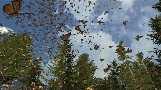Dances with Butterflies VR — screenshot 5