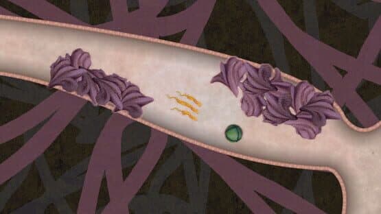 Biorhythm — screenshot 3