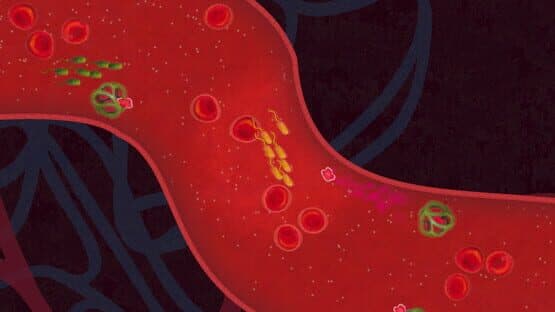 Biorhythm — screenshot 4