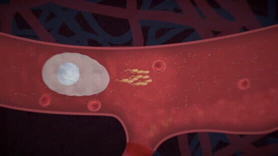 Biorhythm — screenshot 5