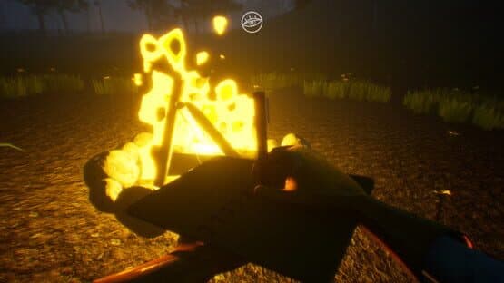 Nystagmus — screenshot 4