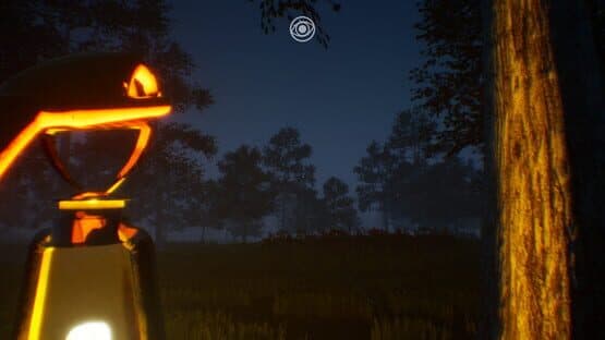 Nystagmus — screenshot 6