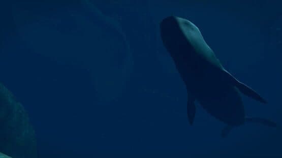Virtual Arctic Expedition — screenshot 2
