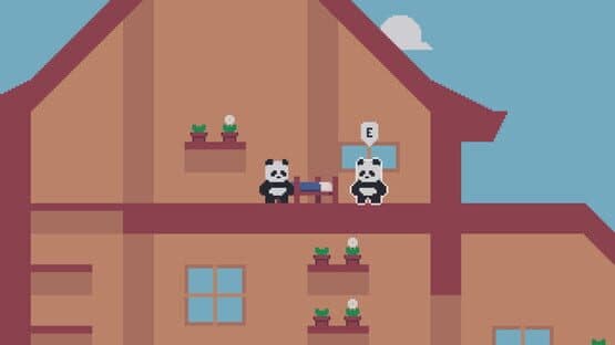 CoderBear — screenshot 2