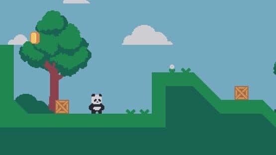 CoderBear — screenshot 5