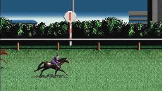 Jumpin' Derby — screenshot 3