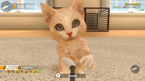 Little Friends: Dogs & Cats — screenshot 7