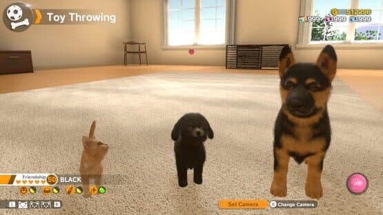Little Friends: Dogs & Cats — screenshot 8
