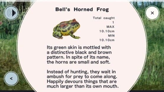Frog Minutes — screenshot 3