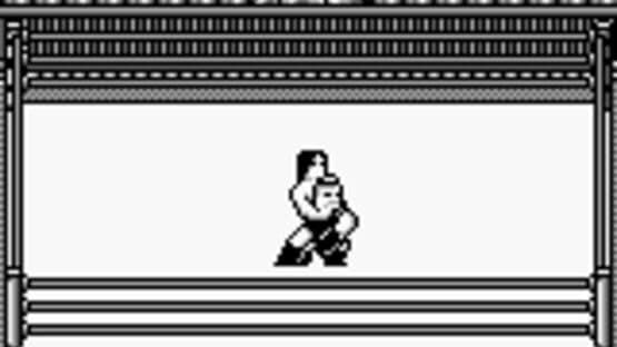 Hal Wrestling — screenshot 1