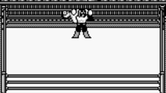 Hal Wrestling — screenshot 2