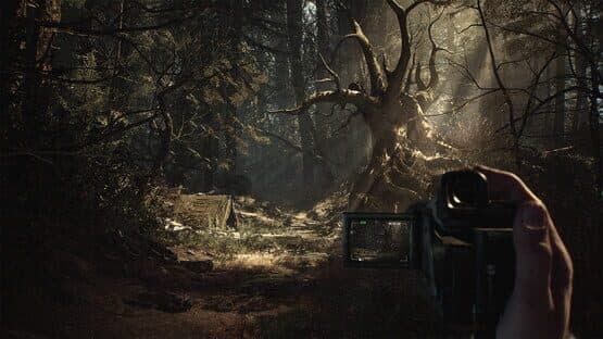 Blair Witch — screenshot 1