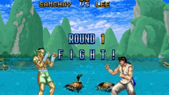 Fighter's History — screenshot 1
