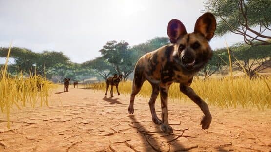 Planet Zoo — screenshot 6